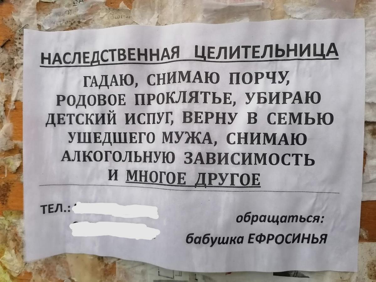 Куда ведёт тропинка: путешествие от родника до странного объявления.  Интересные кадры 23 августа