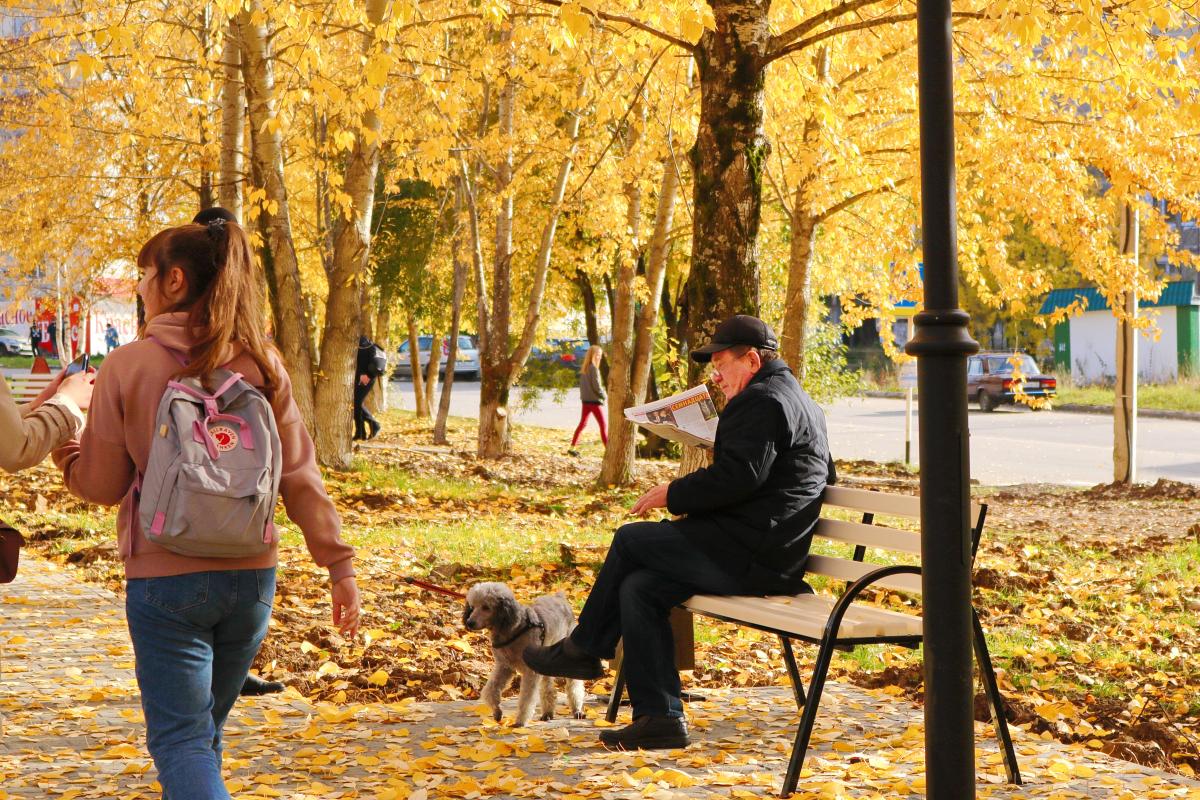 Жизнь людей осень. Последние мгновения осени. Осенний город с людьми. Осень город люди. Люди на улице в России осенью.