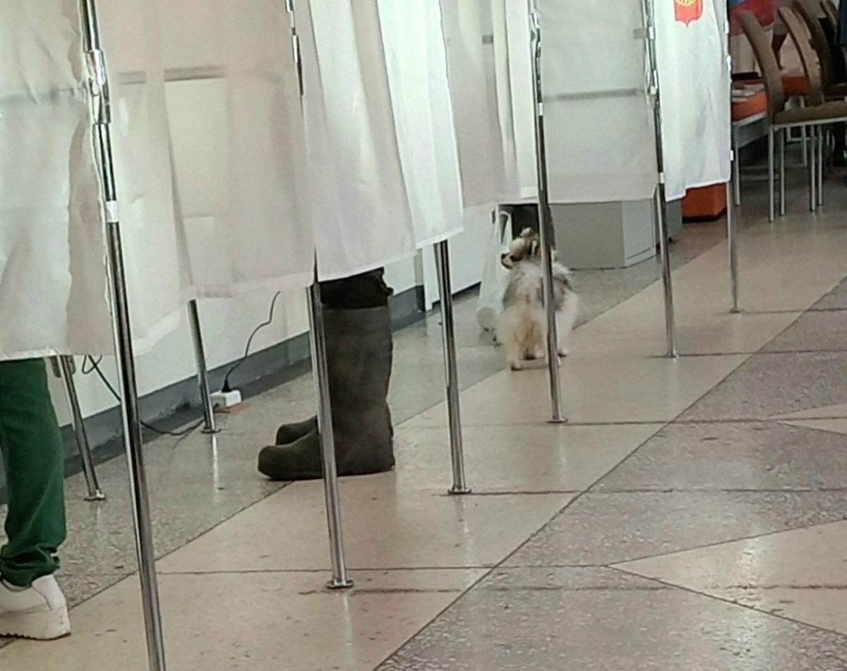 В Пермском крае стартовали трёхдневные выборы депутатов 