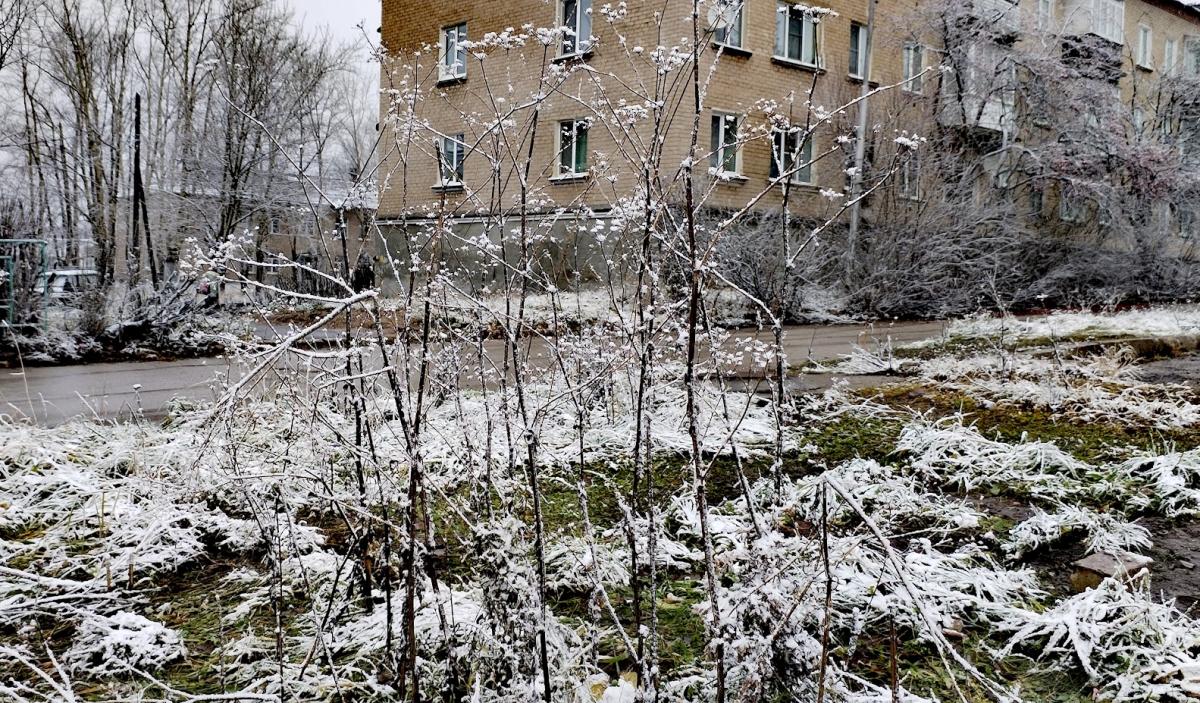 Синоптики рассказали, когда стоит ждать первых заморозков и снегопадов