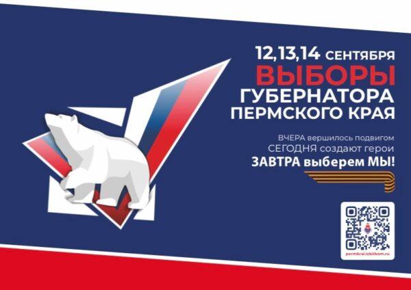 Для удобства избирателей в Пермском крае доступны все формы голосования