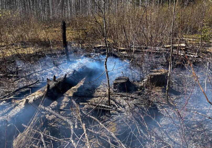 В Губахинском округе вновь произошёл ландшафтный пожар