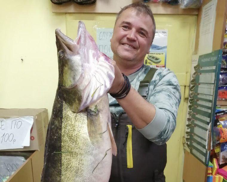 Житель Пермского края поймал гигантского судака