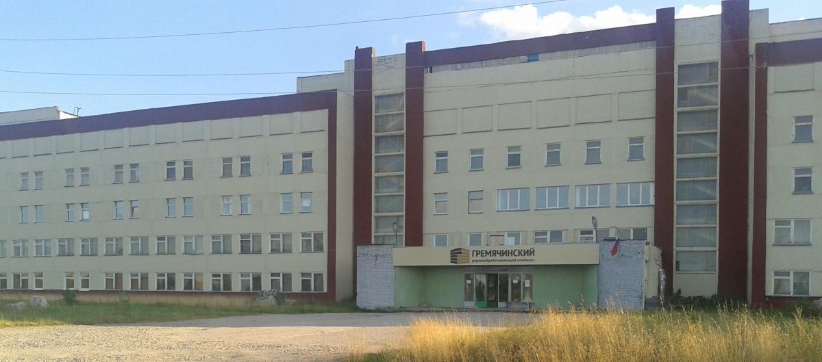 На деревообрабатывающем заводе в Гремячинске погиб человек