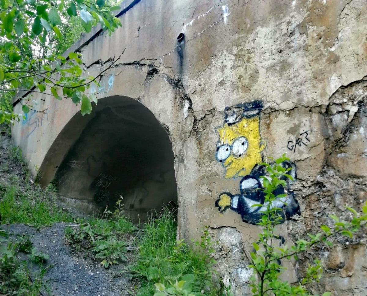 Забавное граффити, загадочный пруд и застывшая бабочка. Яркие кадры 28 июня