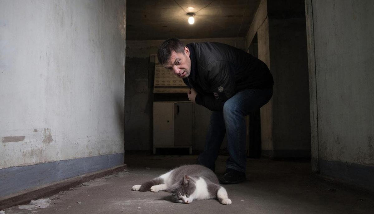 Гремячинца признали виновным в жестоком обращении с животным