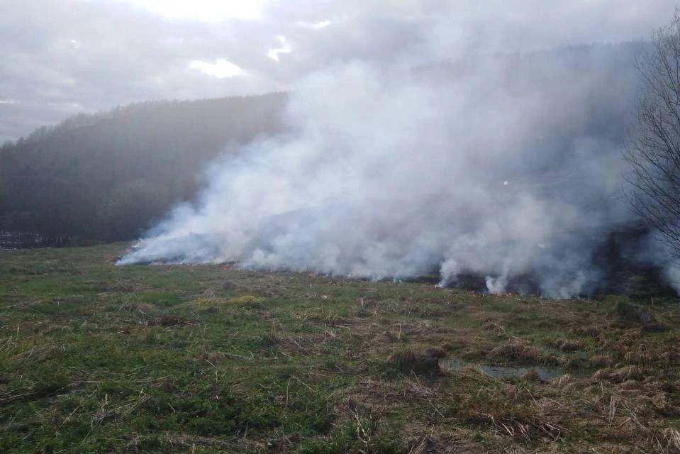 В конце июля в Пермском крае произошло четыре крупных лесных пожара