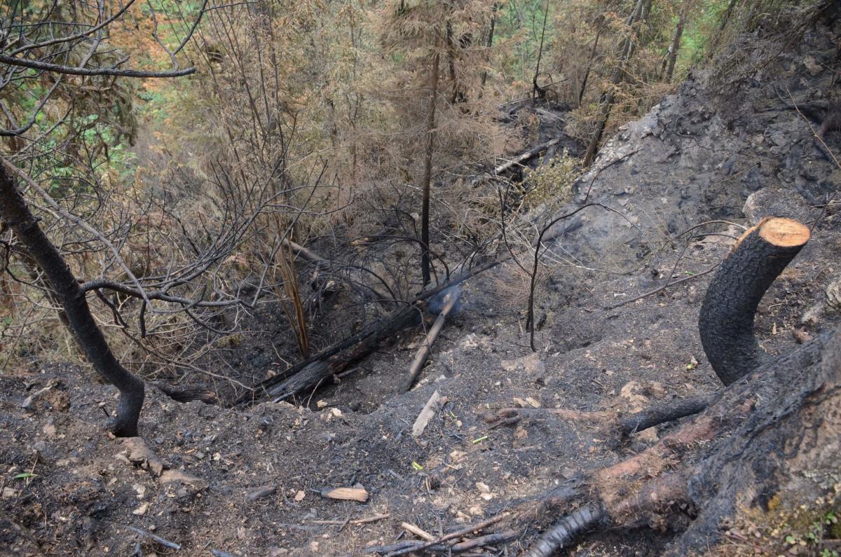В министерстве природных ресурсов подсчитали убытки, нанесённые пожаром Усьвинским столбам