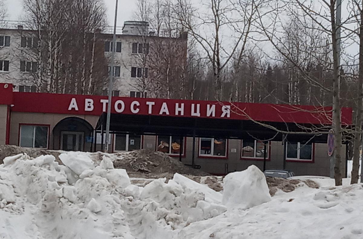 Из-за сильных морозов отменили один из рейсов автобусного маршрута Кизел — Пермь