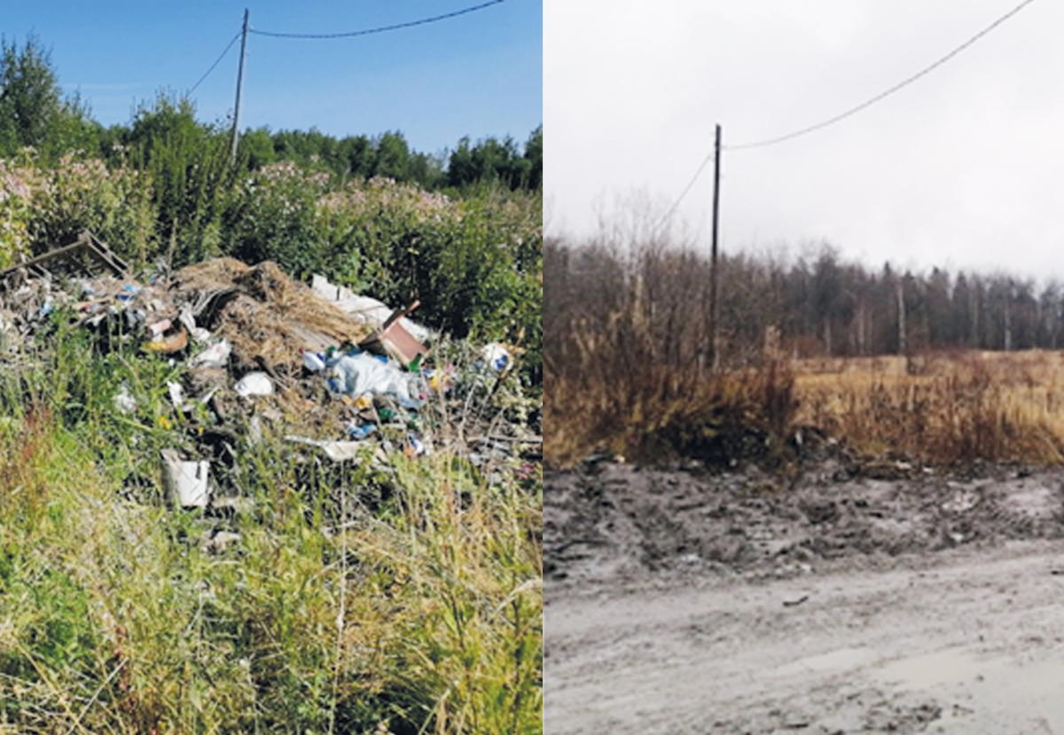 Мусор до контейнеров не донесли. Из Губахи, Гремячинска и посёлков за год с несанкционированных свалок вывезли более 2 тысяч тонн и бытовых отходов