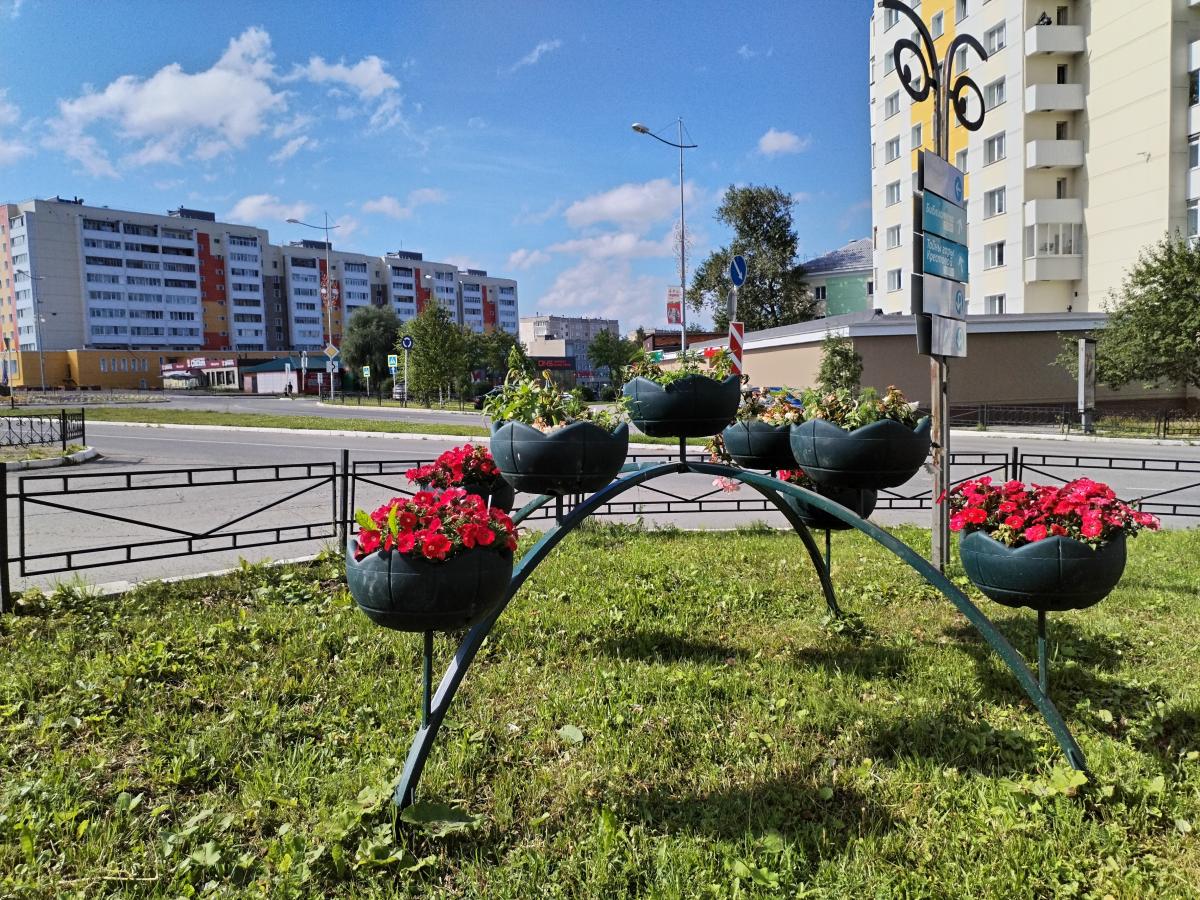 Синоптики обещают, что наступившая неделя будет жаркой