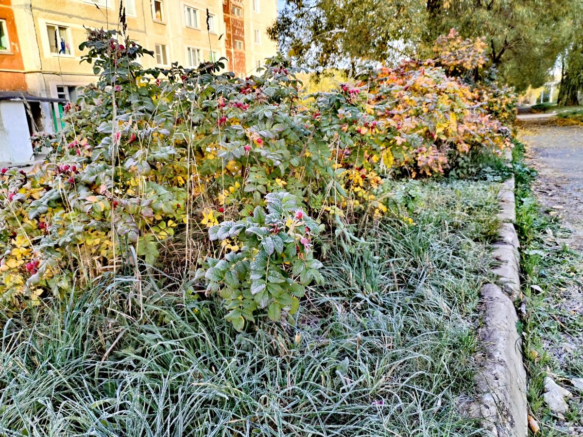 Губаха вошла в тройку населённых пунктов с самыми низкими ночными температурами