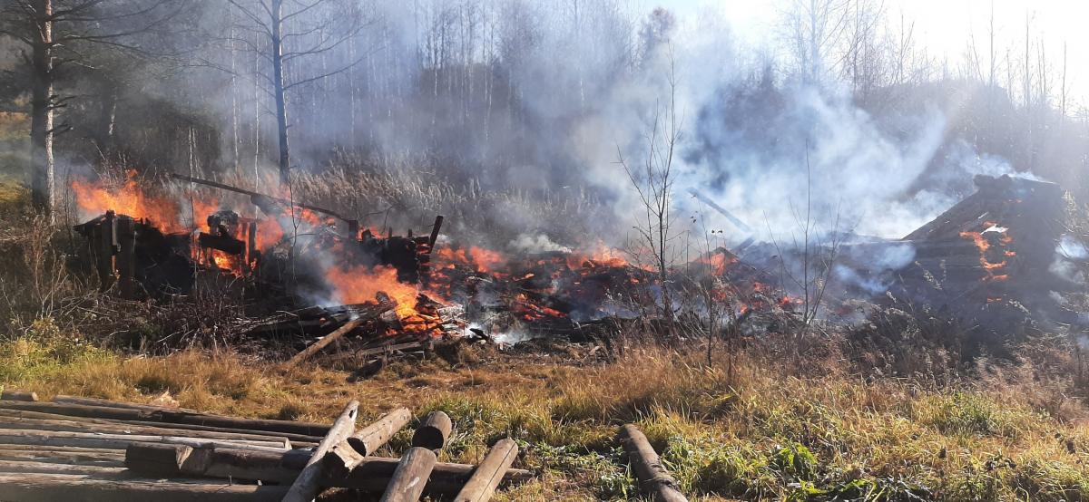 Губахинские огнеборцы ликвидировали пожар в одном из дачных посёлков