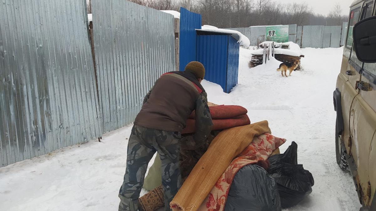 Жители одного из губахинских посёлков помогли бездомным животным