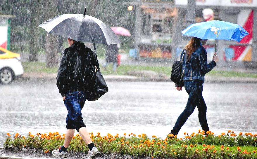 До конца недели в Прикамье прогнозируют дожди