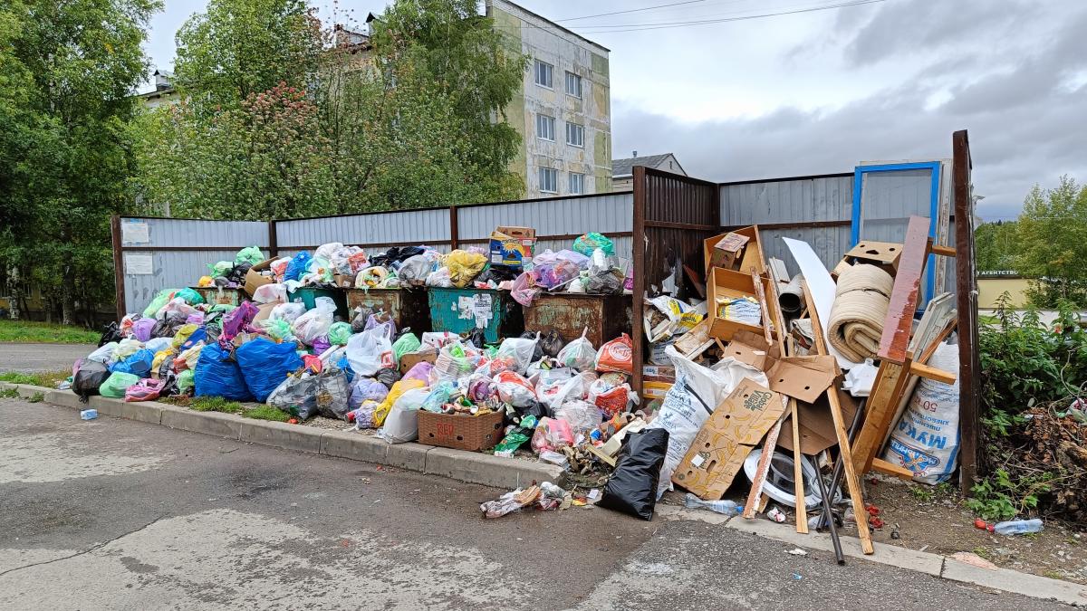 БезОтходное производство. В чём скрывалась истинная причина мусорного коллапса и где искать сортировочную линию ТКО