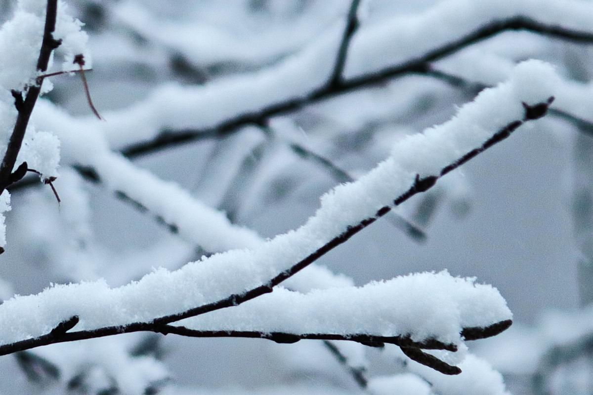 К концу недели в городах КУБа синоптики прогнозируют 10-градусные морозы