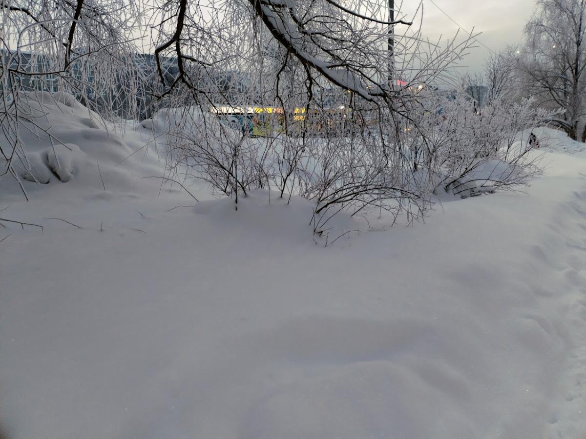 Губахинская метеостанция зафиксировала снежный максимум