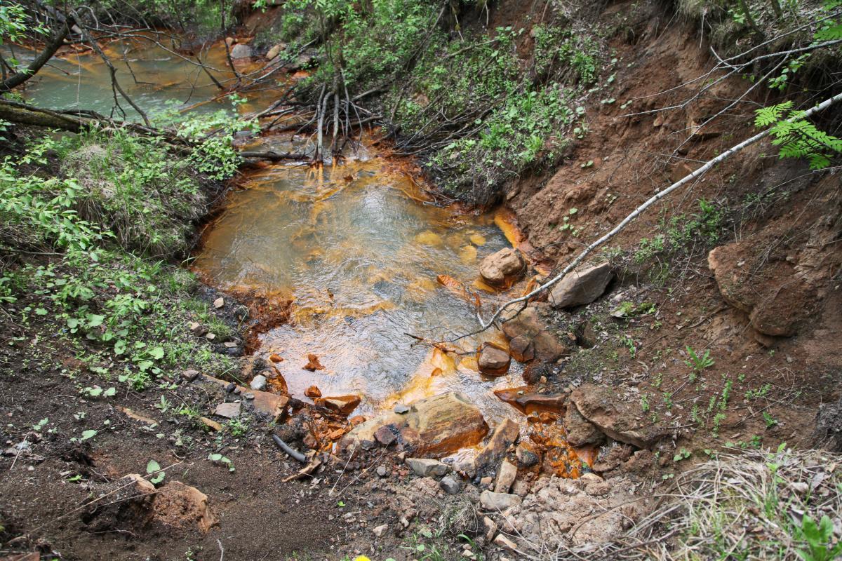 Изливы быльём порастут. Вместе с учёными ищем способ ликвидировать экологические последствия закрытия шахт в Кизелбассе