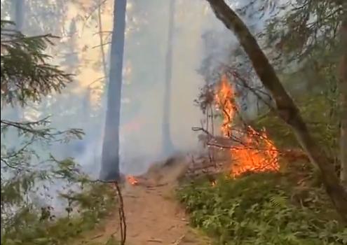 Пожар на Усьвинских столбах, несмотря на усилия сотрудников лесопожарной станции, возобновился