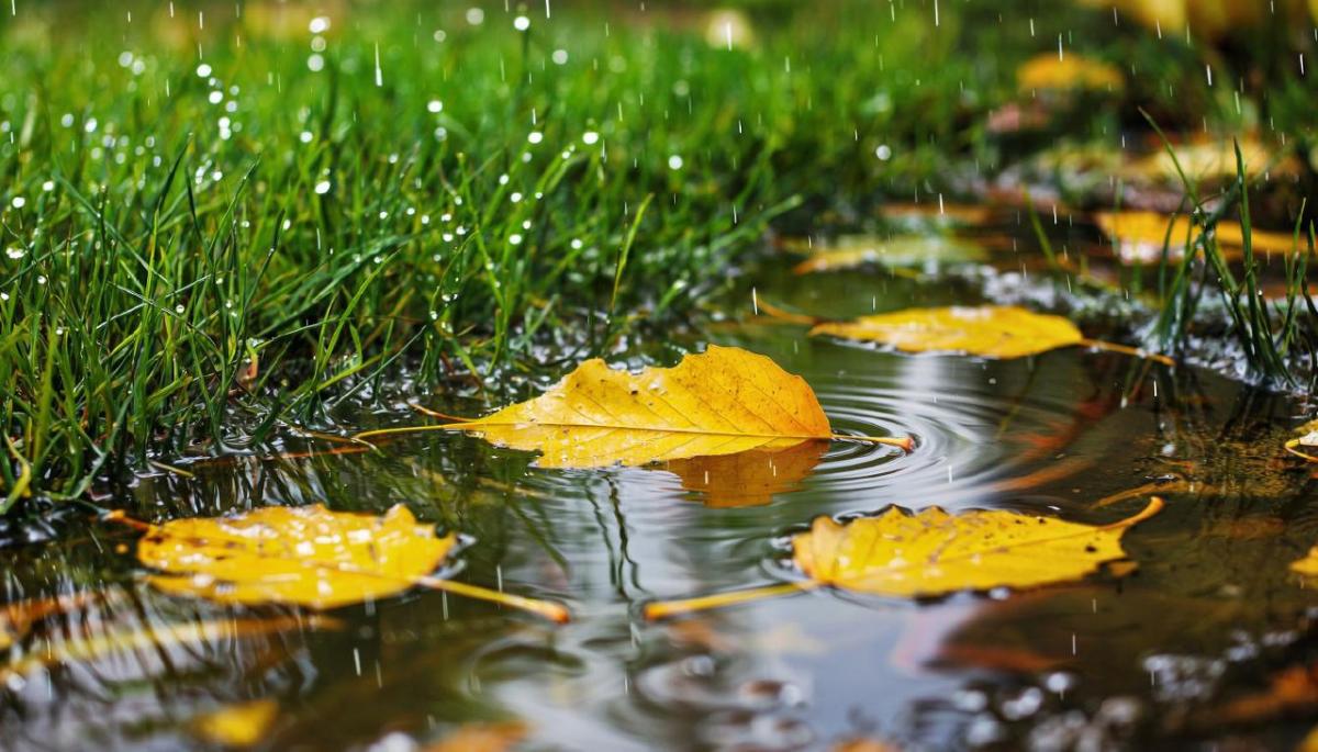 Синоптики поделились перспективами на погоду в последние дни лета