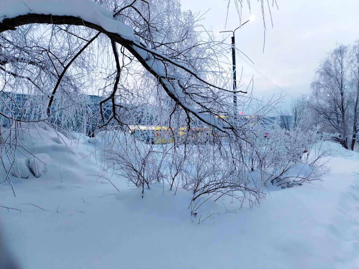 Метеорологи прогнозируют холодную погоду и ультраарктическое вторжение