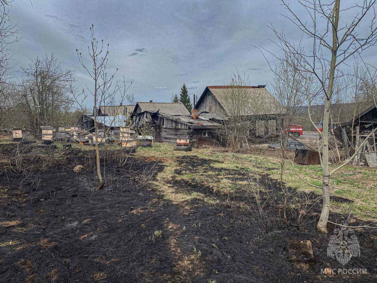 Сегодня днём в одном из Губахинских посёлков произошёл очередной ландшафтный пожар