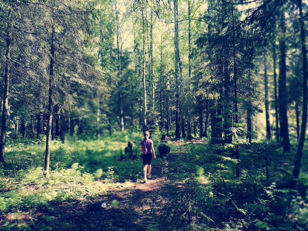 Жителям городов КУБа вновь можно посещать леса