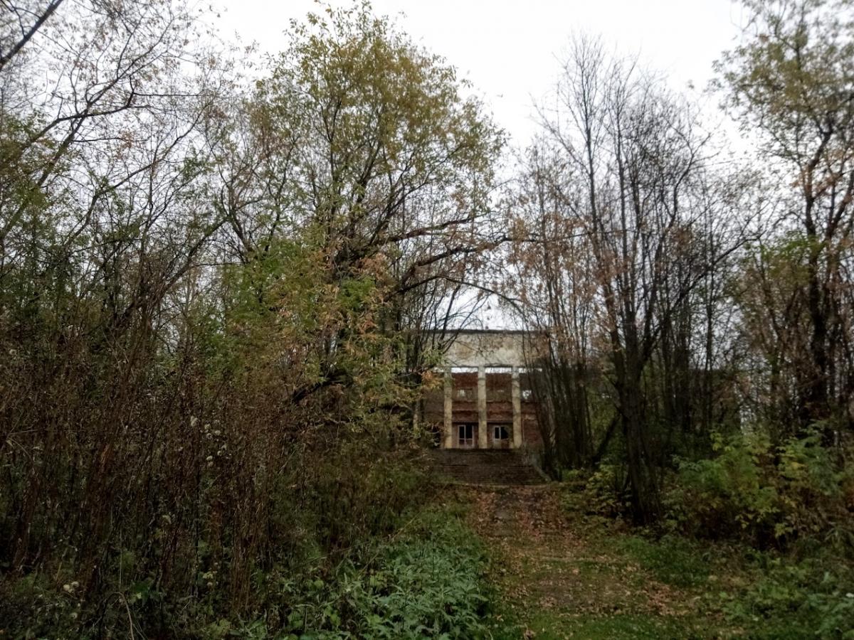 Метеорологи рассказали, когда в Прикамье установится временный снежный покров