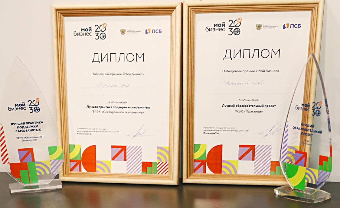 Самозанятым стать просто. Два проекта Прикамья по поддержке малого и среднего предпринимательства стали лучшими в России