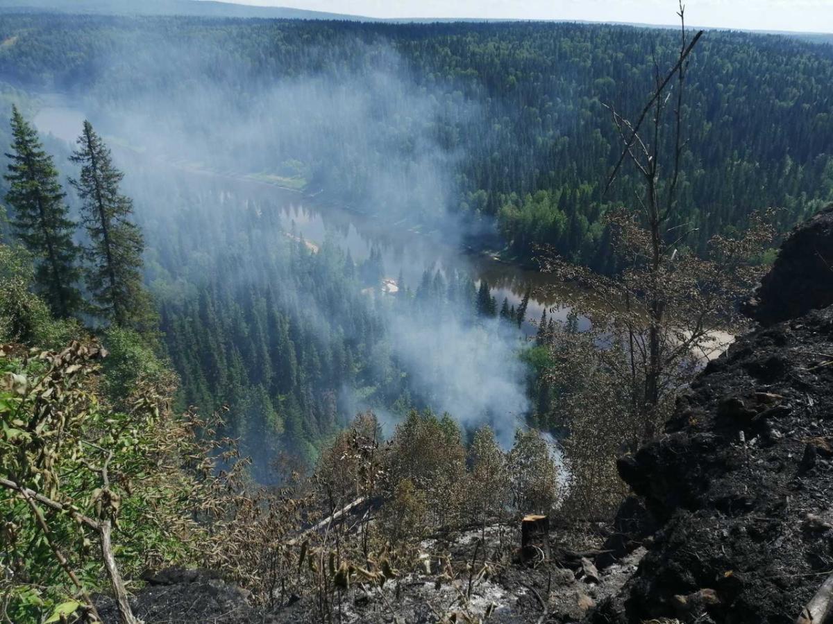 В России в 10 раз повысили штрафы для тех, кто спровоцировал лесной пожар