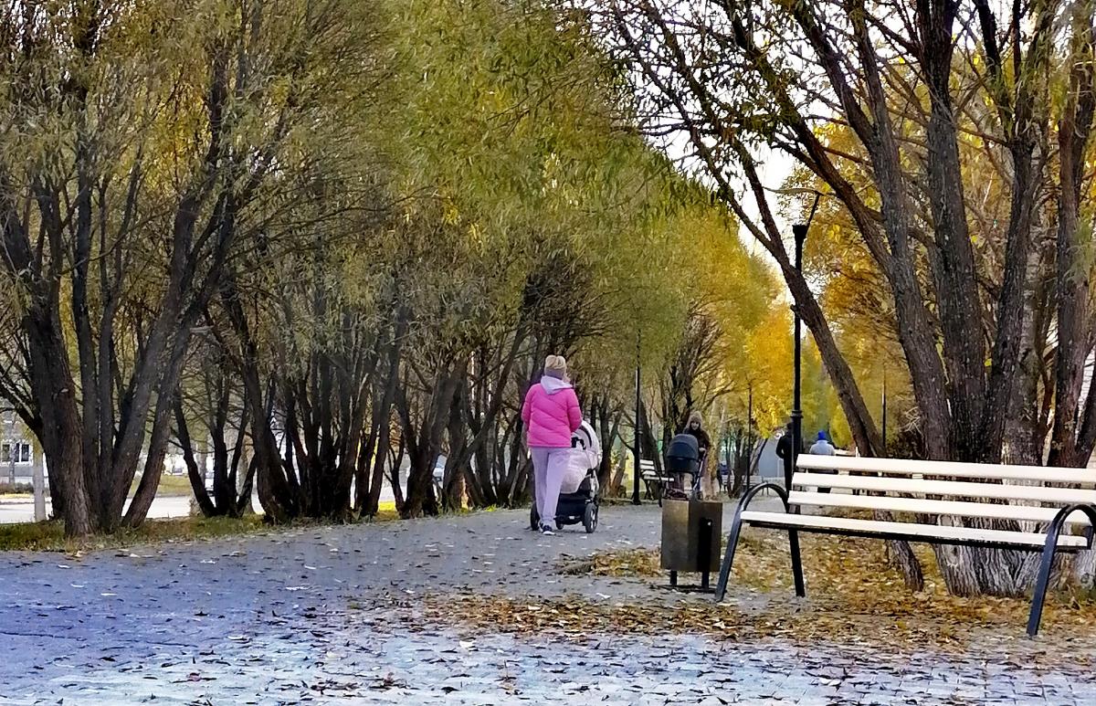 Яркие ковры из жёлтых листьев, пересохшее озеро и заботливо укрытый железный конь. Яркие фото 12 октября