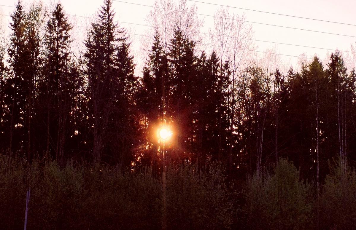 Учёные назвали дату, когда сила магнитных бурь достигнет максимума