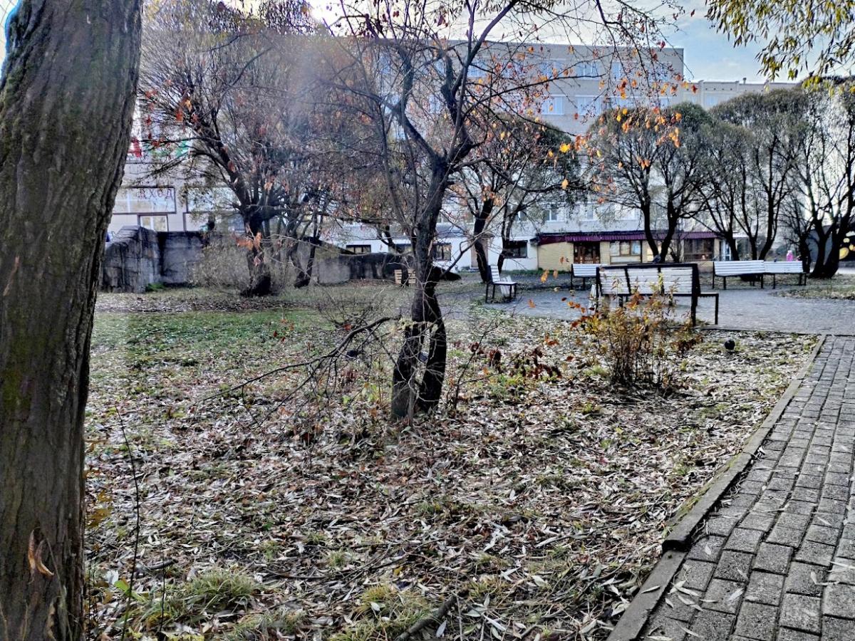 В выходные в КУБе немного потеплеет, но ближе к понедельнику всё может измениться
