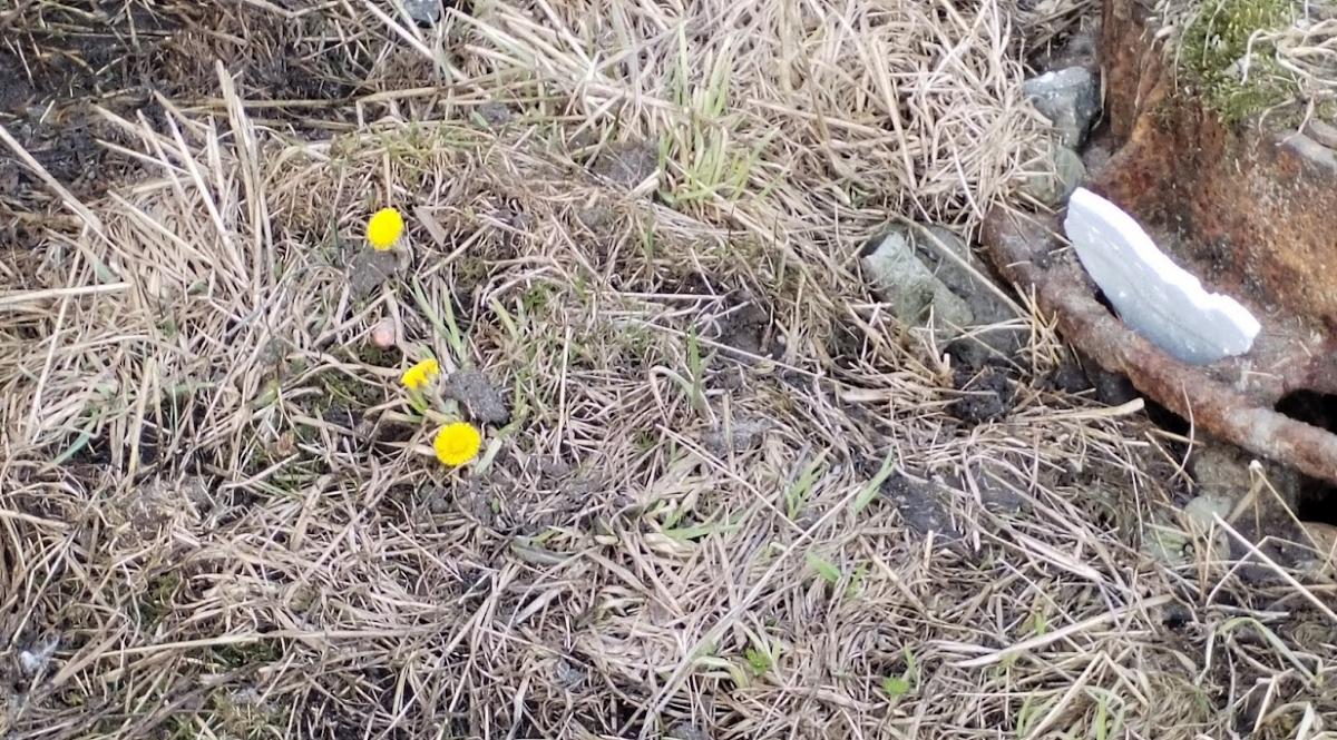 Синоптики обещают очередные температурные рекорды в Прикамье