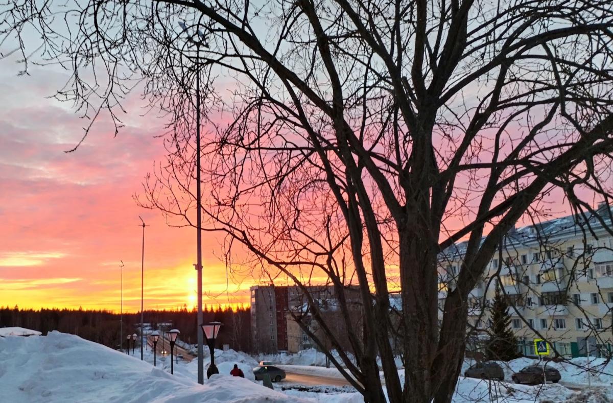 Измеряем год в балконах, дорогах  и контейнерах. Кто-то должен спасать мир, хотя бы от коммунальных проблем