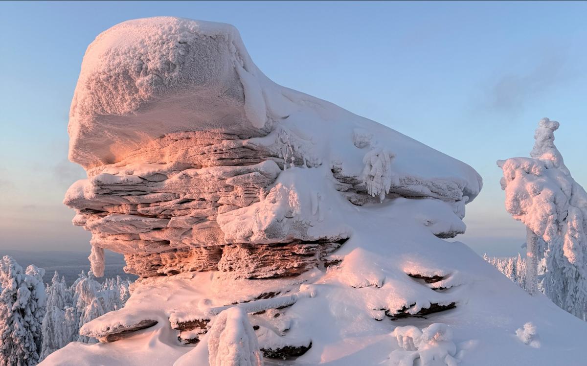 Оборотная сторона рейтинга. Как влияет популярность места на благосостояние, и кто тут в деле