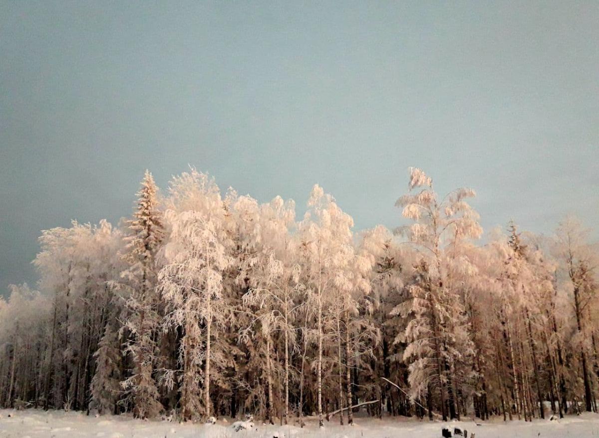 Мороз в красках и формах на фото 7 декабря