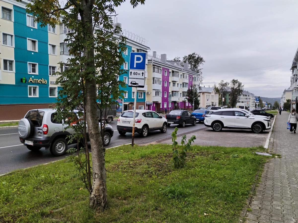 Глава округа прокомментировал ситуацию с нехваткой бензина
