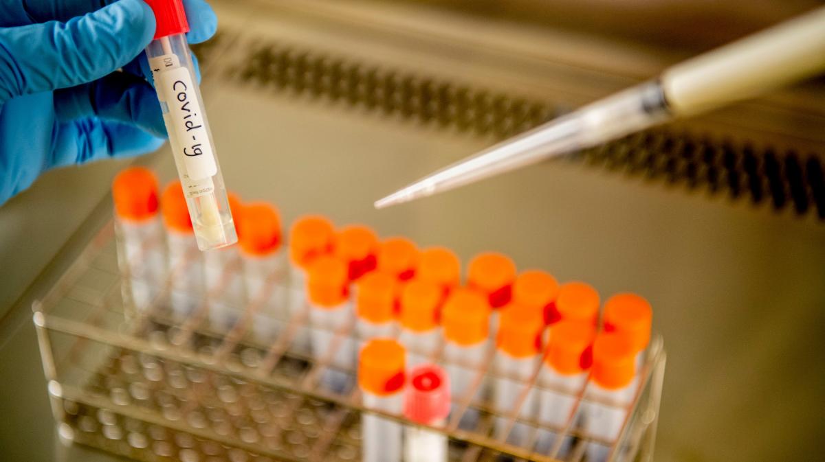 В Губахе более 100 человек прошли тестирование на коронавирусную инфекцию на платной основе