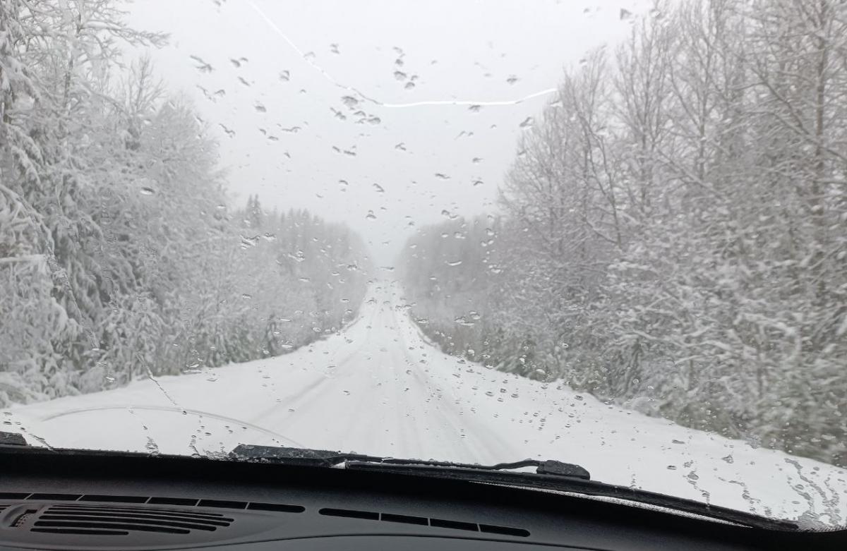 Прохождение тёплого фронта по прогнозам синоптиков начнётся в Прикамье уже сегодня 