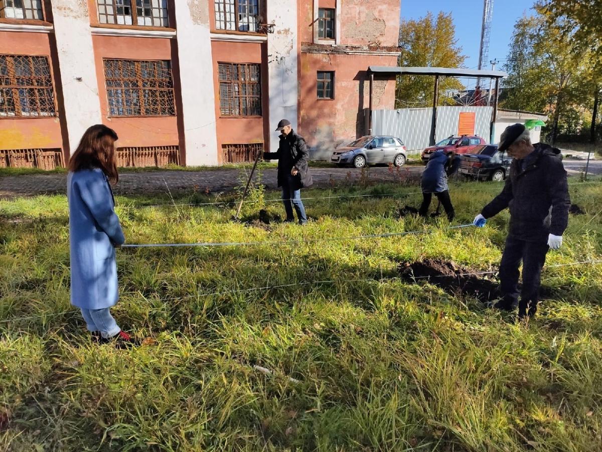 Кизеловцев приглашают принять участие в экологической акции по посадке сосен
