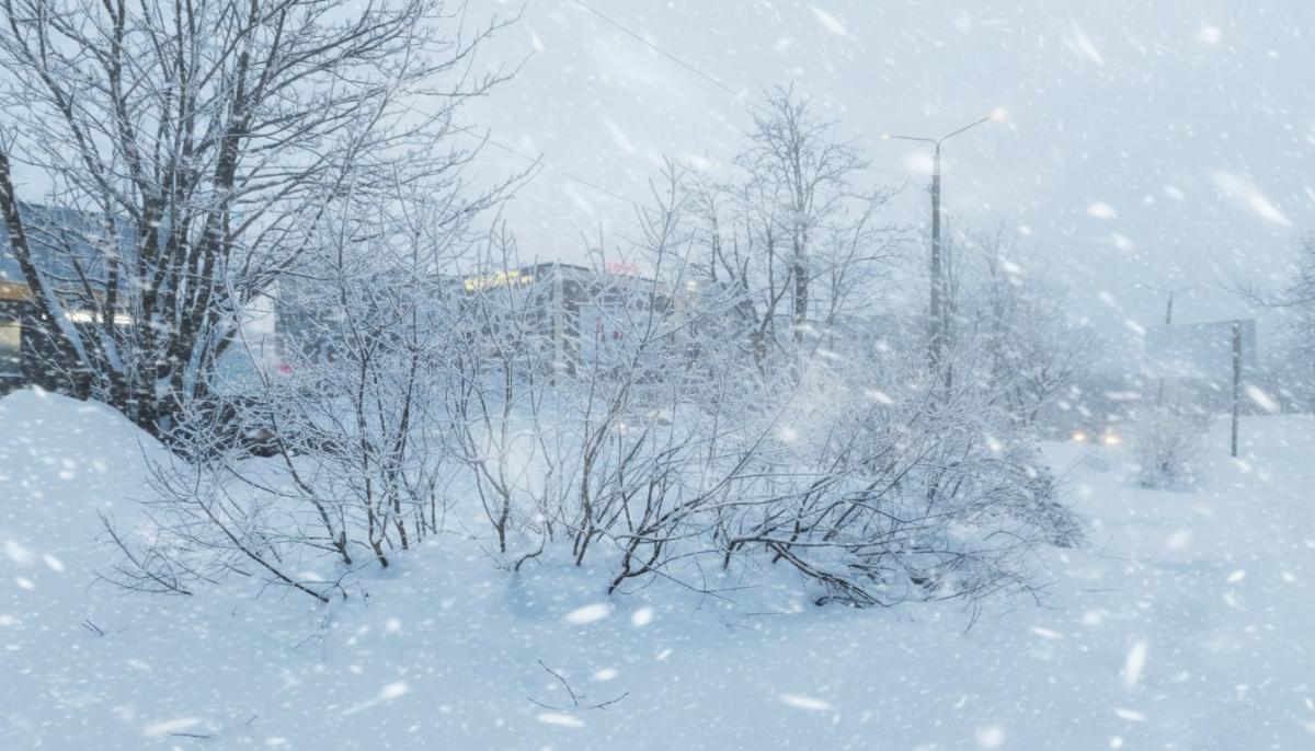 Февраль меры не знает. Метеорологи представили предварительный прогноз на месяц