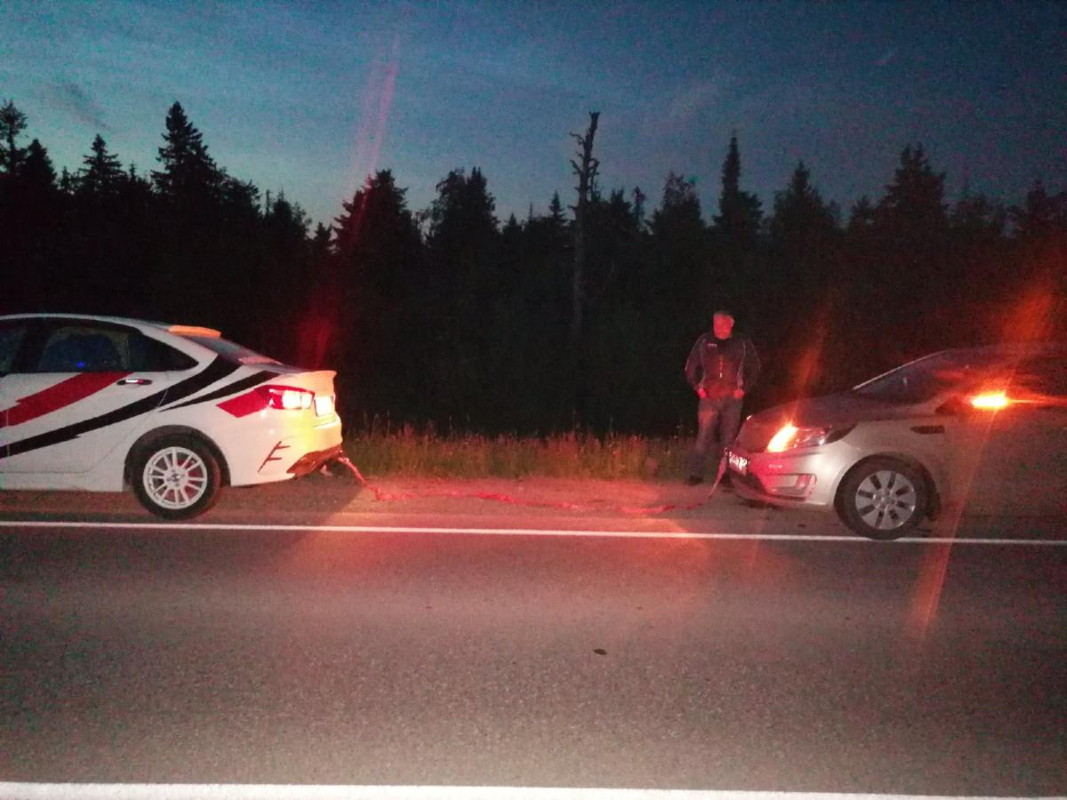 На трассе Кунгур-Соликамск в машину губахинцев врезался заяц