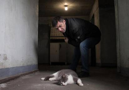 Гремячинца признали виновным в жестоком обращении с животным