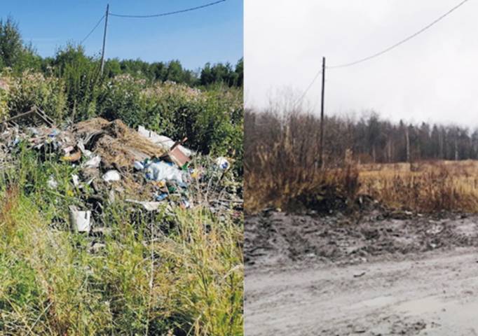 Мусор до контейнеров не донесли. Из Губахи, Гремячинска и посёлков за год с несанкционированных свалок вывезли более 2 тысяч тонн и бытовых отходов