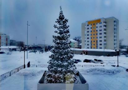 Губаха лидирует по толщине снежного покрова в Прикамье