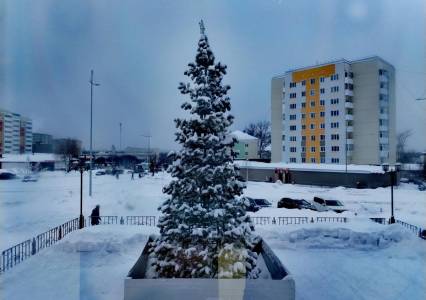 Губаха лидирует по толщине снежного покрова в Прикамье