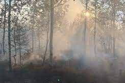 Площадь возгорания леса вблизи Кизела стала больше
