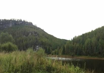 Спор о статусе охраняемого природного объекта в Губахинском округе вновь рассмотрит суд